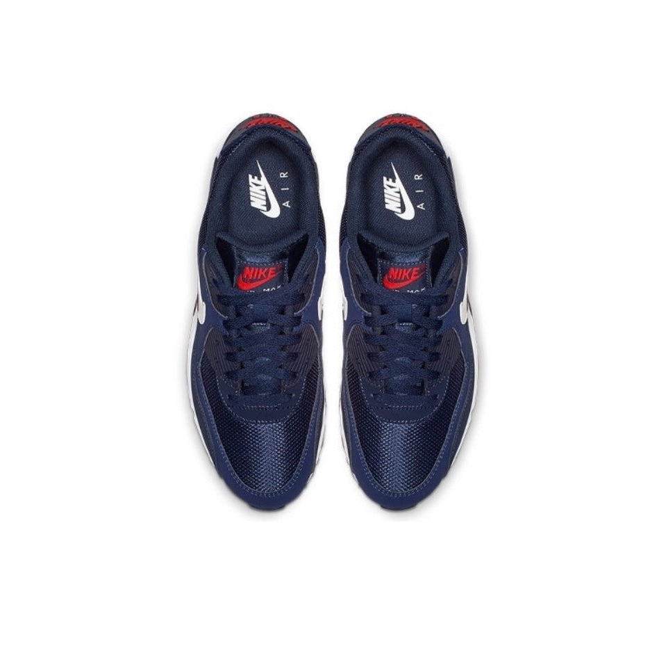 Airmax 90 Blue Phantom