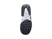 Airmax BW Cool Grey